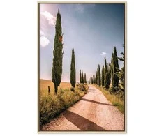 Artgeist Paveikslas - Italian cypresses (1 Part) Vertical