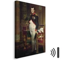 Artgeist Paveikslas - Jacques-Louis David – Napoleon Bonaparte
