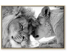 Artgeist Paveikslas - Lion's Love
