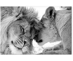 Artgeist Paveikslas - Lion's Love