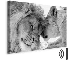 Artgeist Paveikslas - Lion's Love