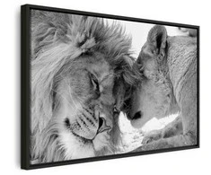 Artgeist Paveikslas - Lion's Love