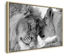 Artgeist Paveikslas - Lion's Love