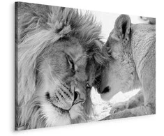 Artgeist Paveikslas - Lion's Love
