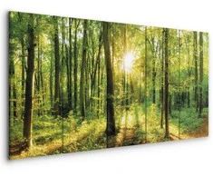 Artgeist Paveikslas - Magic Forest