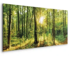 Artgeist Paveikslas - Magic Forest