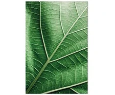 Artgeist Paveikslas - Malachite Leaf (1 Part) Vertical