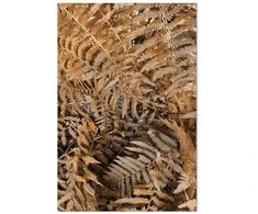 Artgeist Paveikslas - Mysterious Fern (1 Part) Vertical