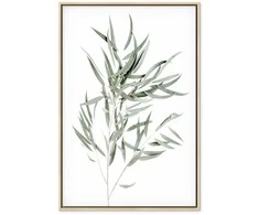 Artgeist Paveikslas - Nicholia Eucalyptus (1 Part) Vertical