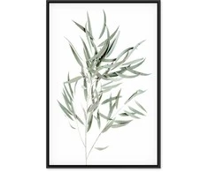 Artgeist Paveikslas - Nicholia Eucalyptus (1 Part) Vertical
