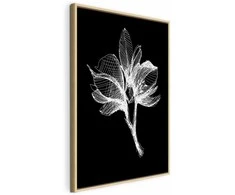 Artgeist Paveikslas - Night Flower (1 Part) Vertical