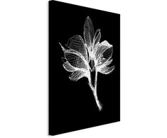 Artgeist Paveikslas - Night Flower (1 Part) Vertical