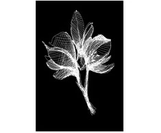 Artgeist Paveikslas - Night Flower (1 Part) Vertical