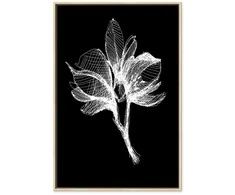 Artgeist Paveikslas - Night Flower (1 Part) Vertical