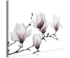 Artgeist Paveikslas - Painted Magnolias (1 Part) Wide