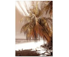 Artgeist Paveikslas - Palm Shadow (1 Part) Vertical