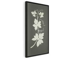 Artgeist Paveikslas - Philipp Otto Runge – Hop plant