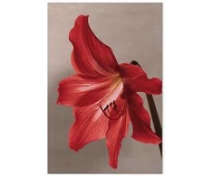 Artgeist Paveikslas - Raudona Flower (1 Part) Vertical