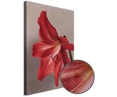Artgeist Paveikslas - Raudona Flower (1 Part) Vertical