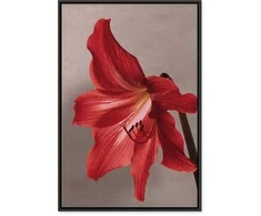Artgeist Paveikslas - Raudona Flower (1 Part) Vertical