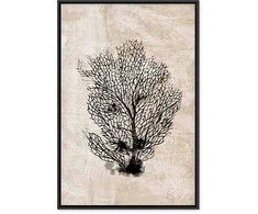 Artgeist Paveikslas - Sea Fan (1 Part) Vertical