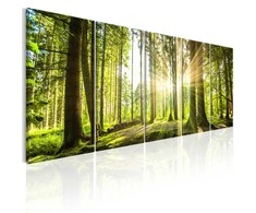 Artgeist Paveikslas - Sunlight