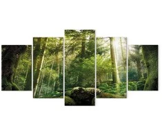 Artgeist Paveikslas - The Beauty of the Forest