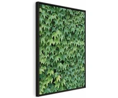 Artgeist Paveikslas - Thick Ivy (1 Part) Vertical