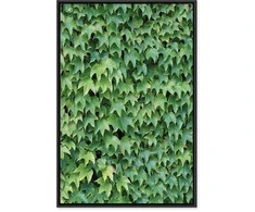 Artgeist Paveikslas - Thick Ivy (1 Part) Vertical