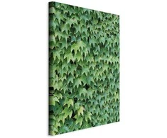 Artgeist Paveikslas - Thick Ivy (1 Part) Vertical