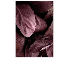 Artgeist Paveikslas - Velvet Leaves (1 Part) Vertical