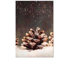 Artgeist Paveikslas - Winter Pine Cone (1 Part) Vertical