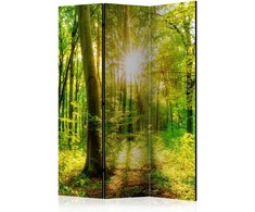 Artgeist Pertvara - Forest Rays