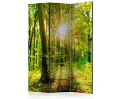 Artgeist Pertvara - Forest Rays