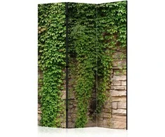Artgeist Pertvara - Ivy wall