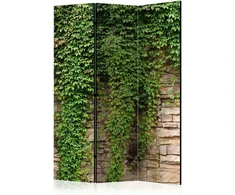 Artgeist Pertvara - Ivy wall