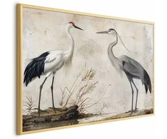 Artgeist Plakatas - Birds from an Old Engraving - vintage-style illustration of a heron and a crane