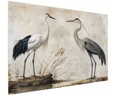 Artgeist Plakatas - Birds from an Old Engraving - vintage-style illustration of a heron and a crane