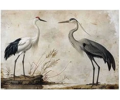 Artgeist Plakatas - Birds from an Old Engraving - vintage-style illustration of a heron and a crane