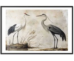 Artgeist Plakatas - Birds from an Old Engraving - vintage-style illustration of a heron and a crane