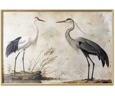Artgeist Plakatas - Birds from an Old Engraving - vintage-style illustration of a heron and a crane