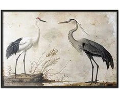 Artgeist Plakatas - Birds from an Old Engraving - vintage-style illustration of a heron and a crane