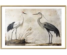 Artgeist Plakatas - Birds from an Old Engraving - vintage-style illustration of a heron and a crane