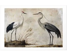 Artgeist Plakatas - Birds from an Old Engraving - vintage-style illustration of a heron and a crane