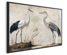 Artgeist Plakatas - Birds from an Old Engraving - vintage-style illustration of a heron and a crane