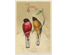 Artgeist Plakatas - Birds on a Branch