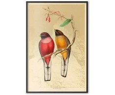 Artgeist Plakatas - Birds on a Branch