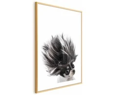 Artgeist Plakatas - Chihuahua