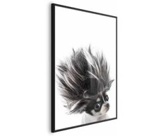 Artgeist Plakatas - Chihuahua