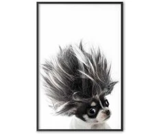 Artgeist Plakatas - Chihuahua